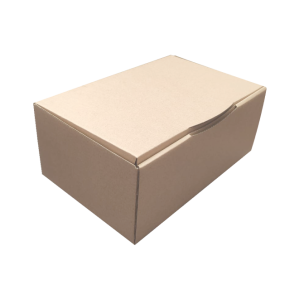 Cajas Multifuncionales - Caja Tipo Lengüeta Kraft de 24x15x10cm