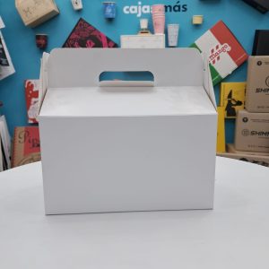 CAJA MALETA IMPRESA CUATRICROMIA 22X13X16 (200 unidades)